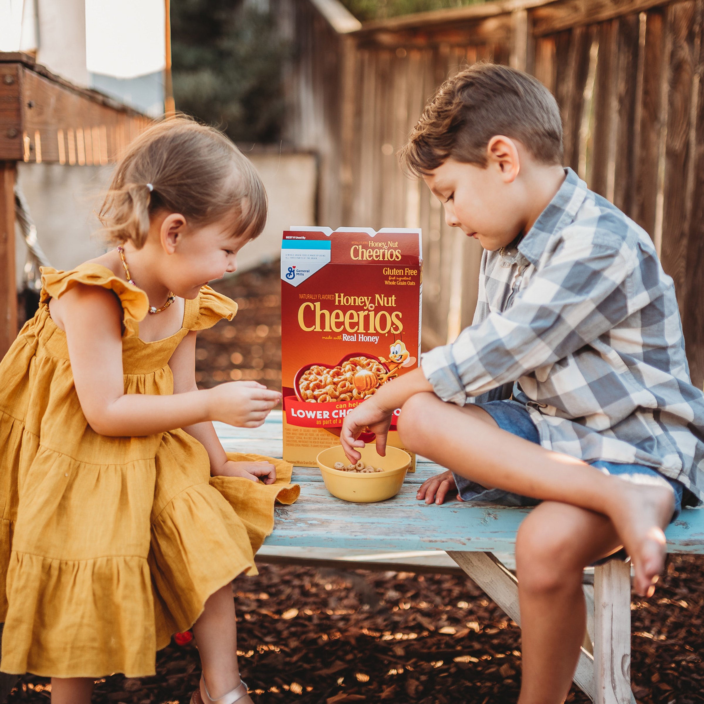 General Mills, Cheerios Cereal, Honey Nut, 27.5 oz, 2-Count