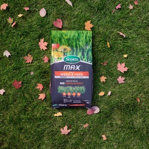 Scotts MAX Fall Weed & Feed, 14,000 Sq. Ft.