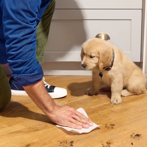 Bounty Advanced Paper Towels, 2-Ply, 103 Sheets, 12-count