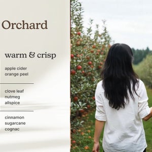 Homedics SereneScent Portable Waterless Home Fragrance Diffuser Bundle