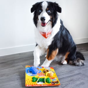 Nylabone NUBZ Treat N' Chew Dog Toy Variety Pack, 3-count