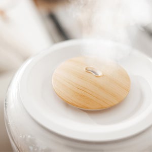 Homedics Warm and Cool Mist UV-C Ultrasonic 2G Humidifier