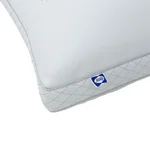 Sealy Sterling Collection Down-Alternative Pillow, 2-pack