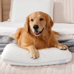 Serenity by Tempur-Pedic Cooling Memory Foam Pillow