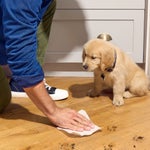 Bounty Advanced Paper Towels, 2-Ply, 103 Sheets, 12-count