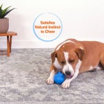 Nylabone NUBZ Treat N' Chew Dog Toy Variety Pack, 3-count