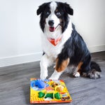 Nylabone NUBZ Treat N' Chew Dog Toy Variety Pack, 3-count