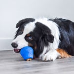 Nylabone NUBZ Treat N' Chew Dog Toy Variety Pack, 3-count