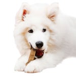 Nylabone NUBZ Dog Chews, 22-count, 2-pack