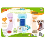 Nylabone Fun and Flexi Dog Toys, 3-count